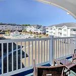 Carnation 302