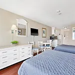 Driftwood 51009