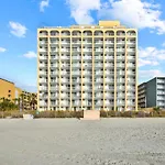 Driftwood 51009