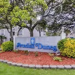 Arcadian Dunes 20-178