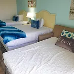 Sea Mist 51301