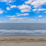 Sea Mist 20509