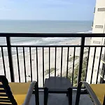 Absolute Beach Pet Friendly