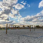 Palm Tree Paradise