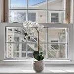 Viagem Neat 1Br With Workspace Close To Beach