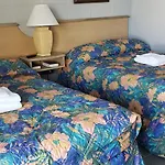 Palmsbythebeach