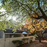 Palmetto Vacation Rentals At Kingston Plantation