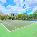 Sunrise Oasis