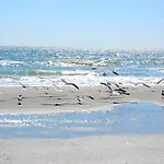 A Place At The Beach 9560 1J