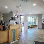 Gorgeous 1Br Oceanview Suite, Dogs Ok 904