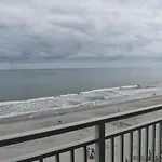 Shore Thing