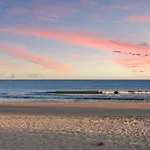 Treehouse Lodge Walk To Beach Pet-Friendly 101
