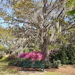 Peaceful Retreat Close To Myrtle Beach!