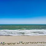 Ocean Blue 902
