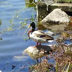 Beautiful Lakefront Condo Short Walk To Beach!