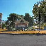 522 Wedgewood Condo