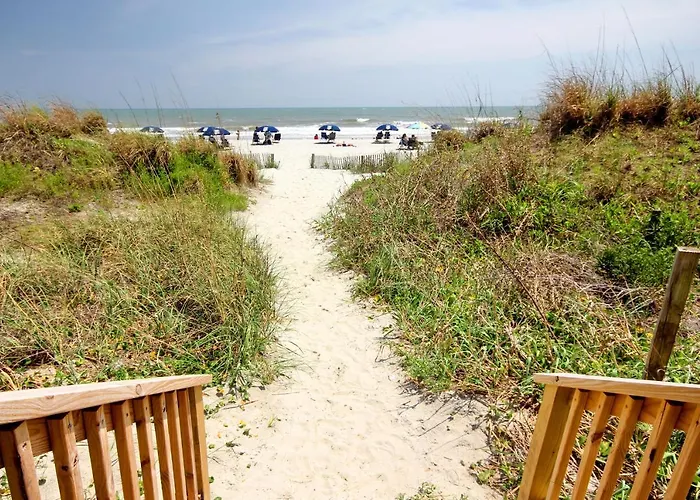Beach Cove 1420