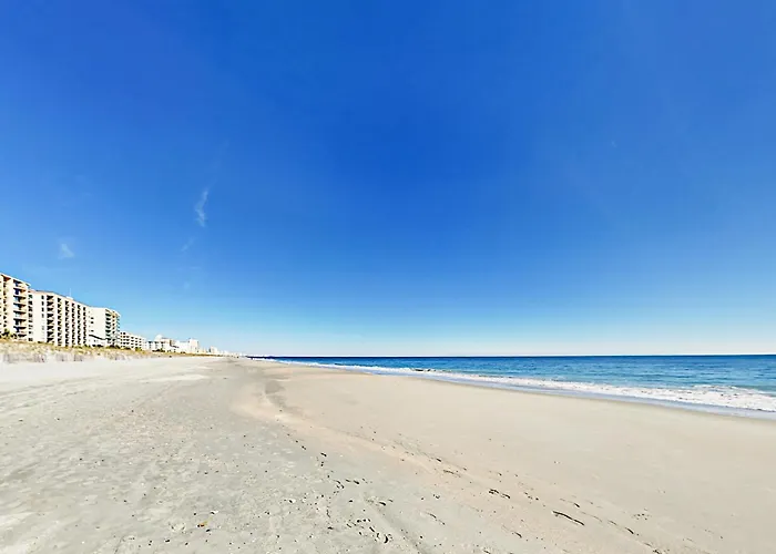 Seas The Day 204