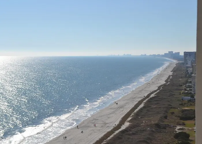 Bay Watch 1806