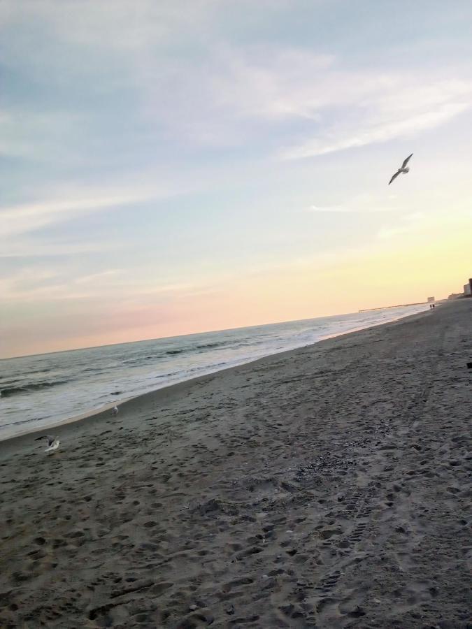 Lee's Myrtle Myrtle Beach