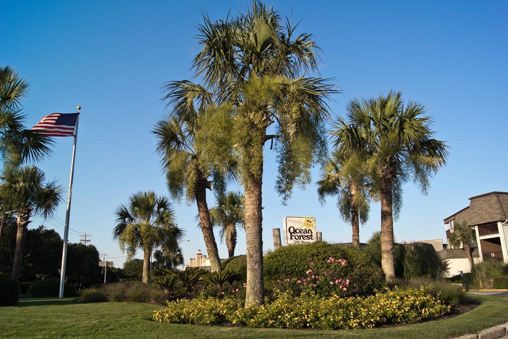 Villa Ocean Forest