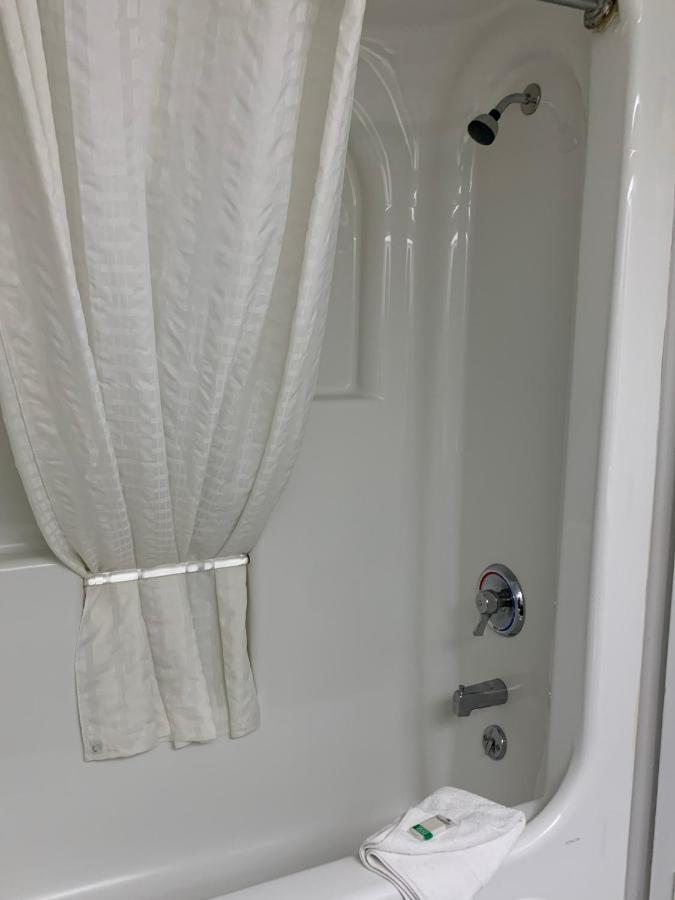 1510 Pearl On The Pet Friendly