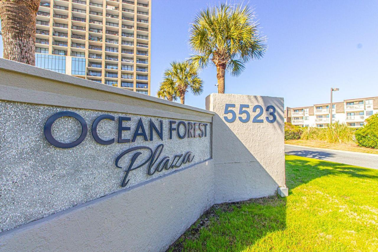 Modern Oceanfront Double Queen Sleeps 6! Ocean Forest Plaza 607 *