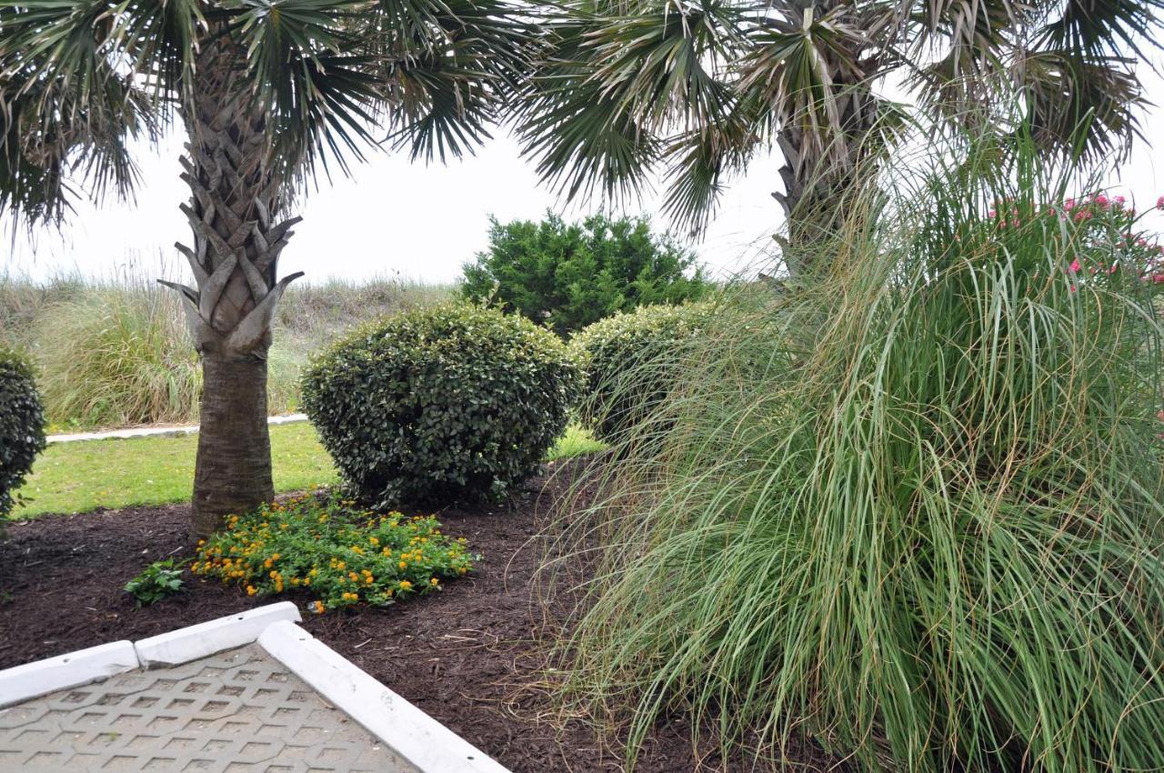 Oceanview 8br/7ba With Oceanfront Pool Myrtle Beach