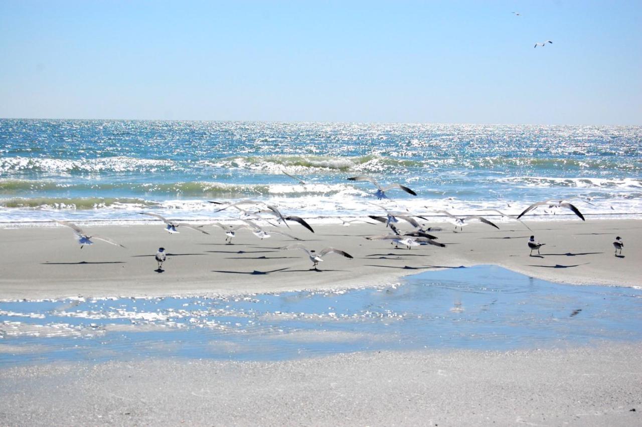 Anchorage Ii 113 * Myrtle Beach