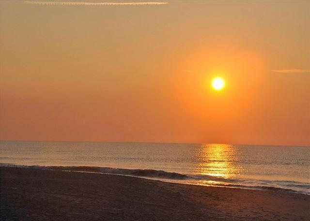 Carolina Dunes 505