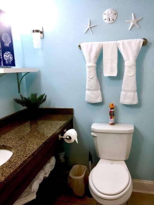 Apartment *fabulous Ocean View Studio*king Bed*great Pools, Hot Tubs*m41 Myrtle Beach