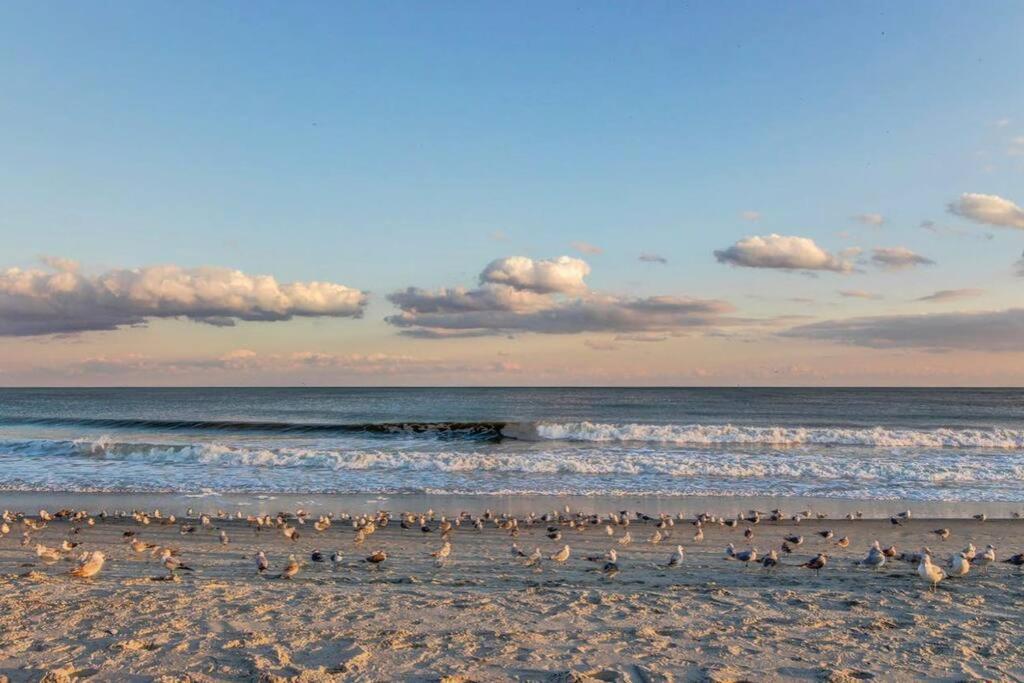*incredible Sunsets* King Bed *great Pools, Hot Tubs+++*m23 Myrtle Beach