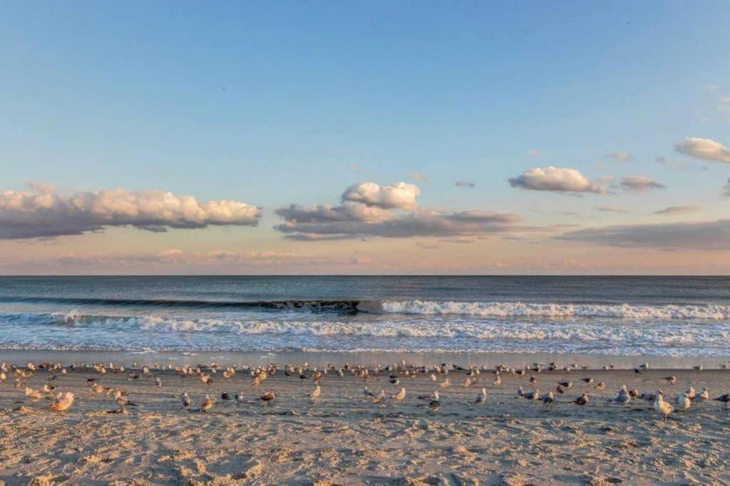 *renovated Oceanfront Condo*queen Beds*pools*hot Tubs*more*p220 * Myrtle Beach