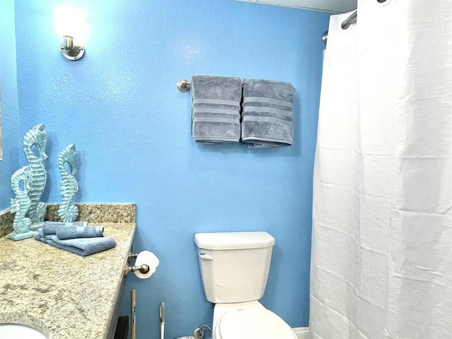 *beachy Ocean View Studio* King Bed*great Pools, Hot Tubs*s43 *