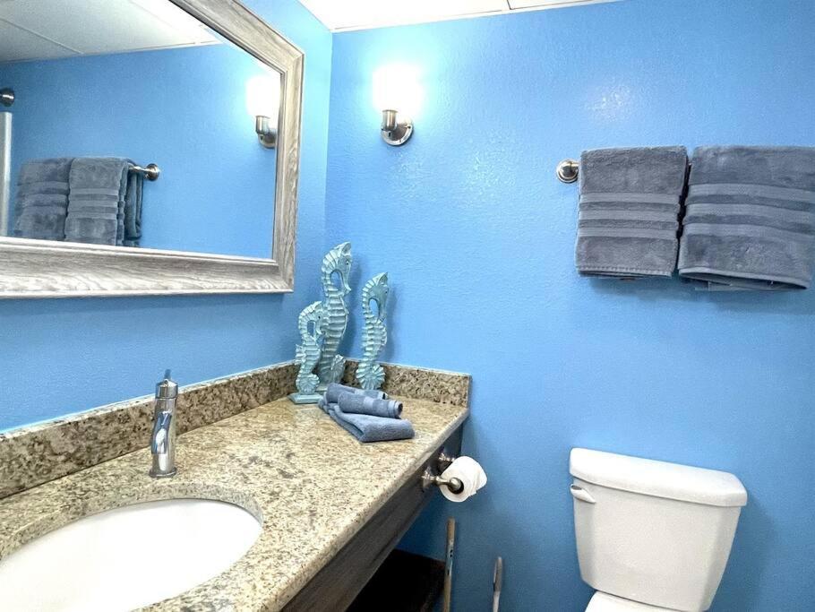 *beachy Ocean View Studio* King Bed*great Pools, Hot Tubs*s43 *