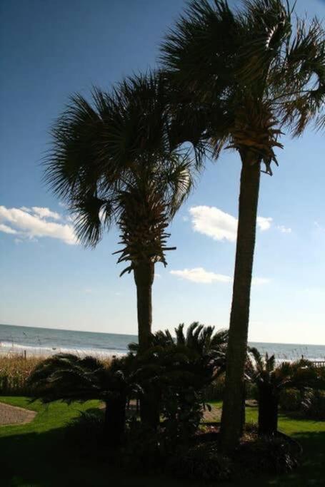 *renovated Oceanfront Condo*queen Beds*pools*hot Tubs*more*p220 Apartment