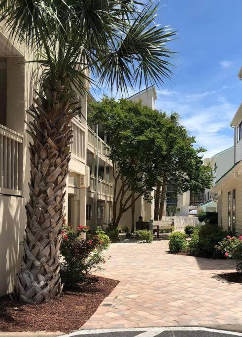 *renovated Townhouse*king Master*pool*steps To Sand*pt3 Apartment *