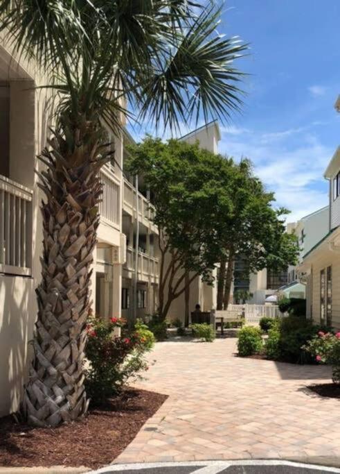 Apartment *delightful Cozy Retreat*pool, Steps To The Sand*h32 Myrtle Beach