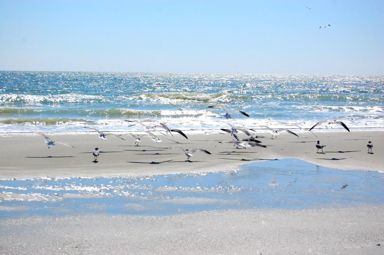 Long Bay Dunes B2