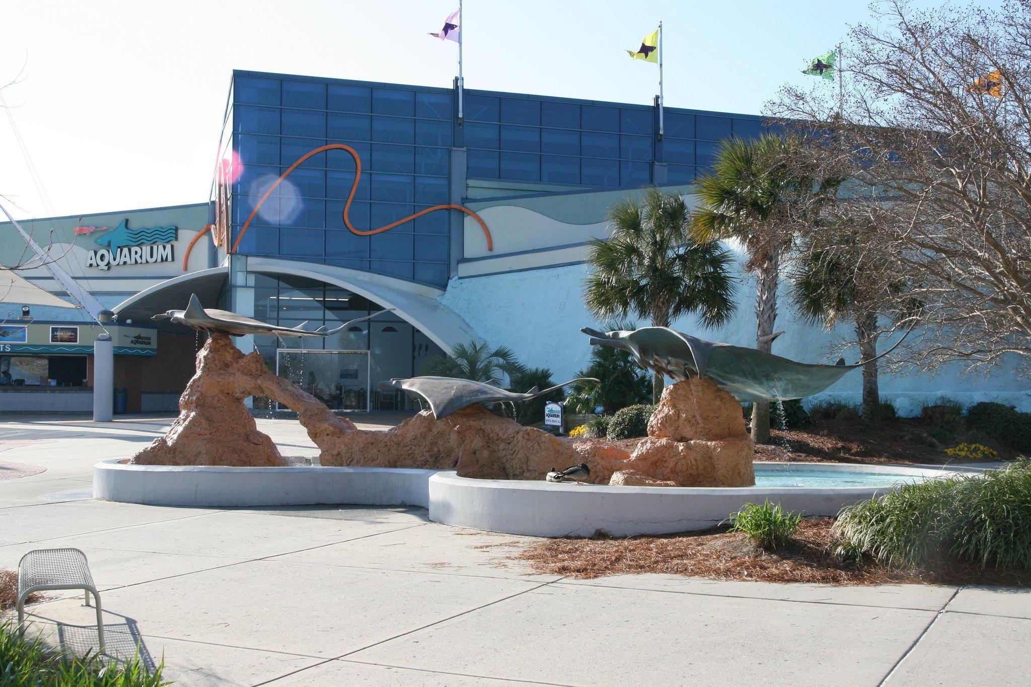 Hotel Hampton Myrtle West Myrtle Beach