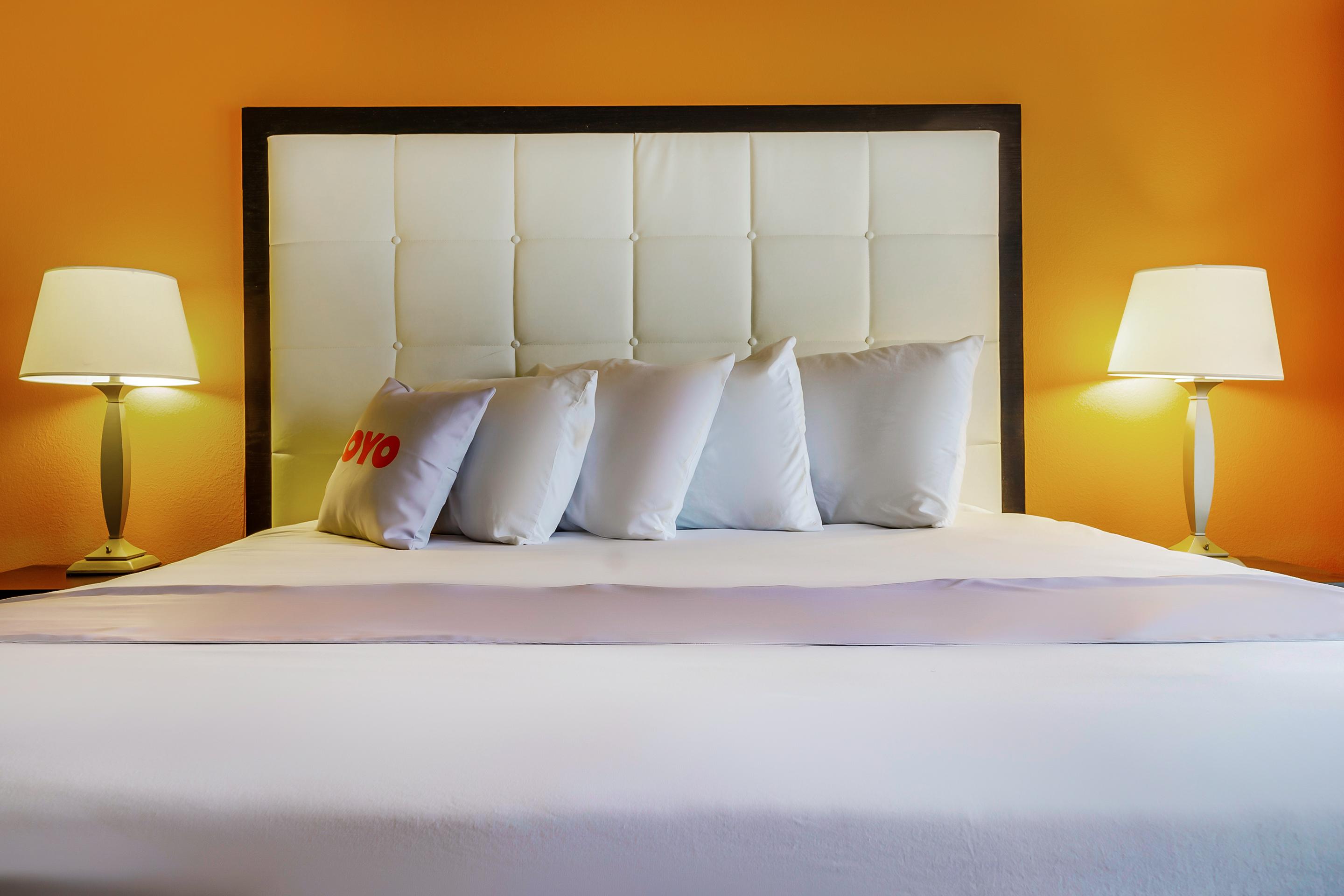 Hotel Palette Myrtle 2*