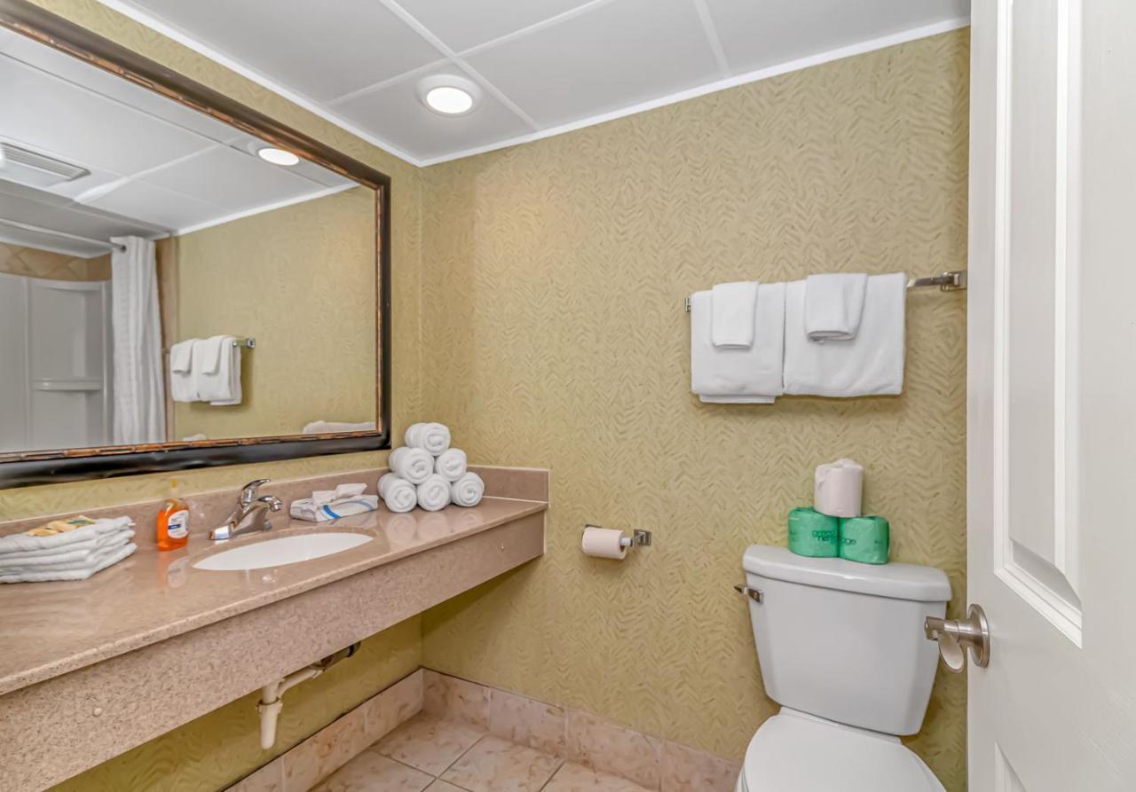 Ocean Reef - Direct Oceanfront - Nicely Updated! Perfect For 2-4 Guests! Unit 303