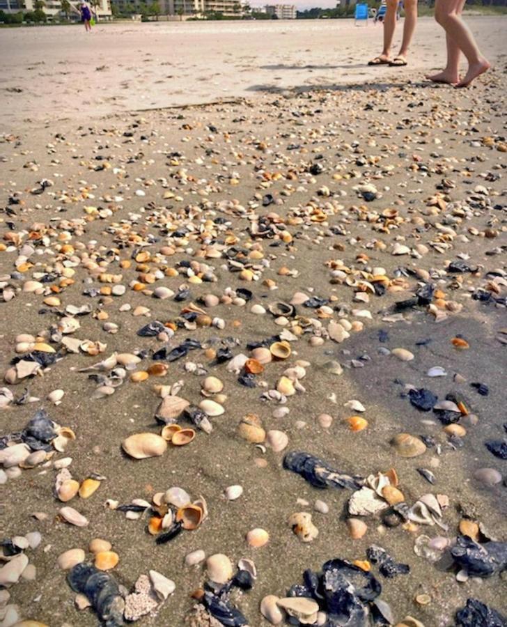 2br In The Gated Ocean Creek Plantation Holiday home *