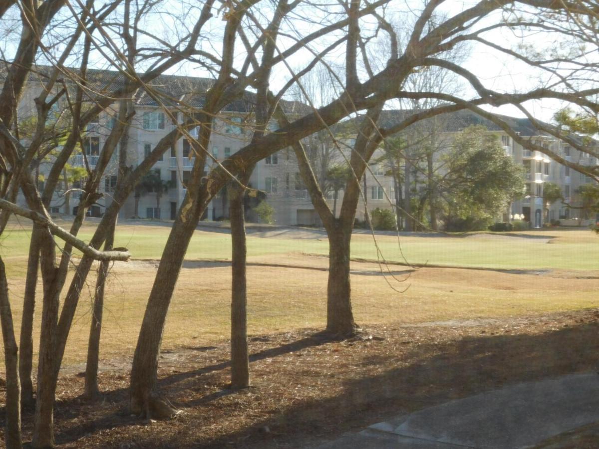 Apartment Wedgewood #523