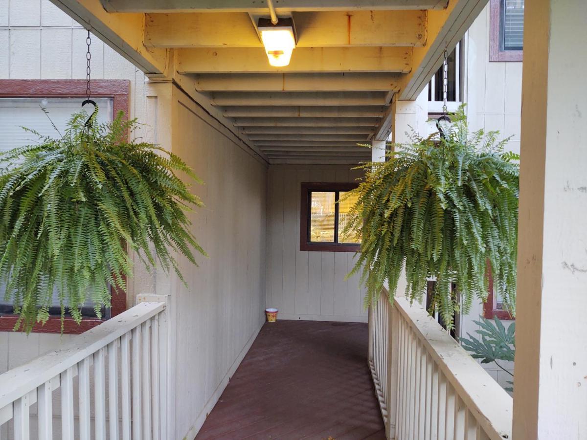 Dunes Point Apartment Myrtle Beach