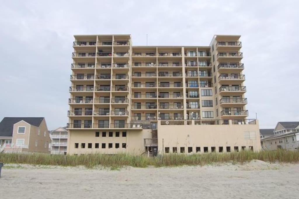 Cozy & Charming Oceanfront #803 @ Buena Vista Apartment