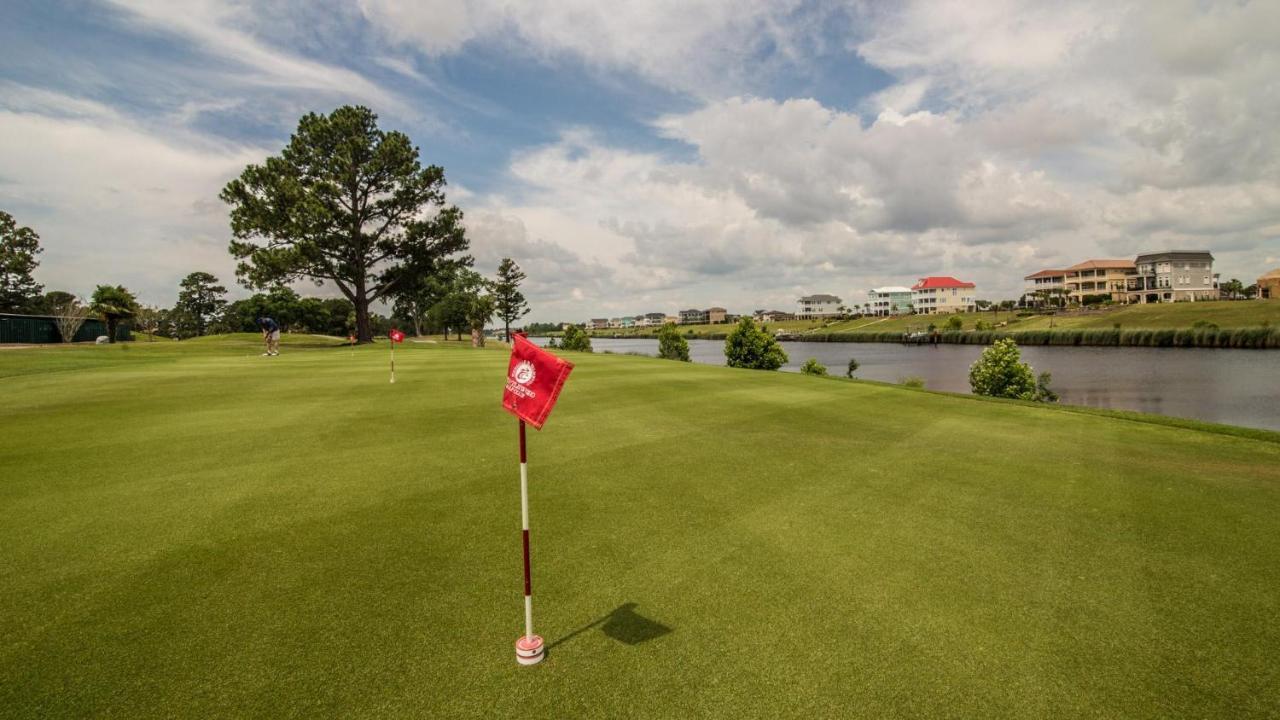 Myrtlewood #101 - Olivia's On The