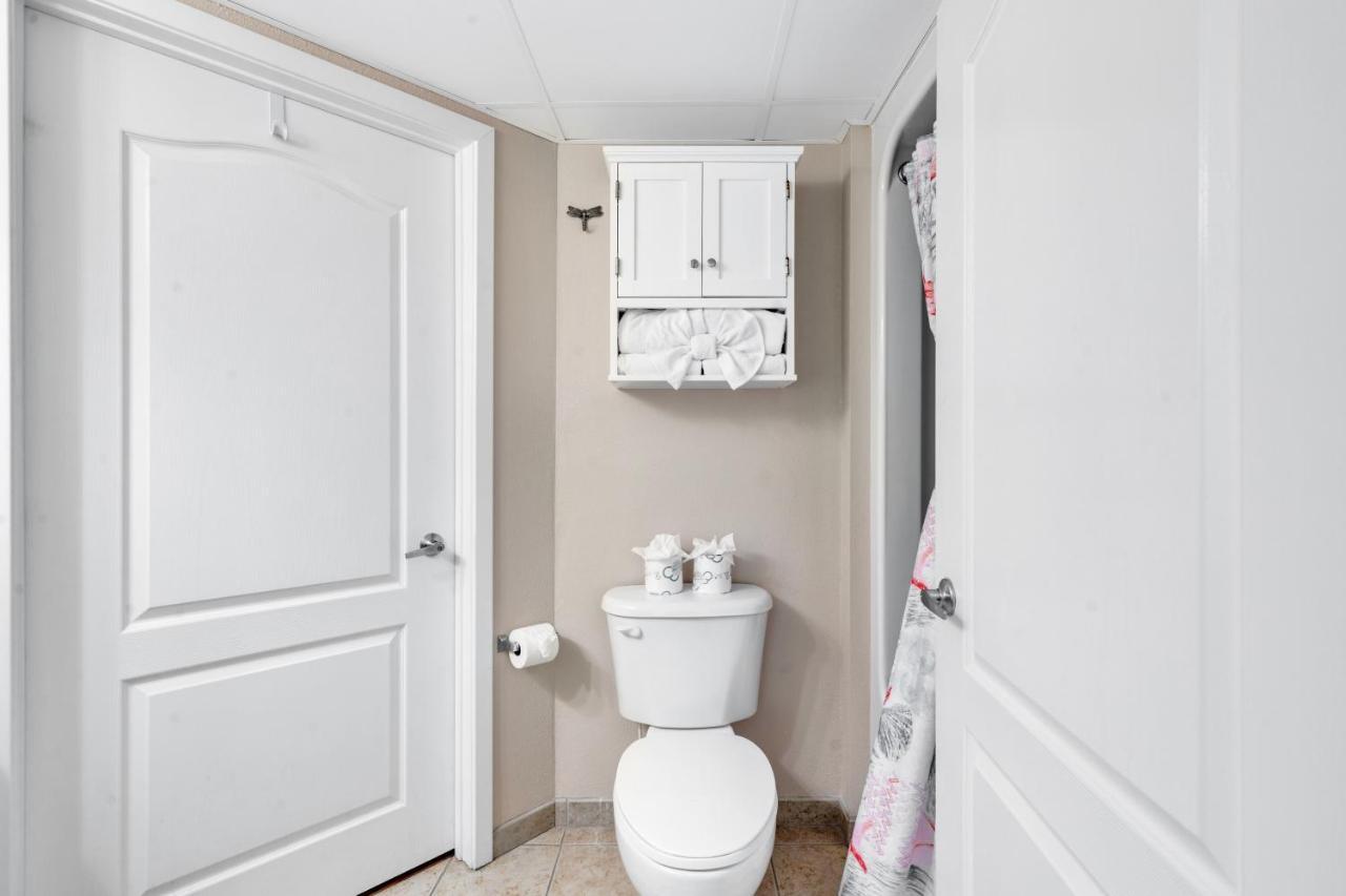 Carolinian Corner Gem Views! *