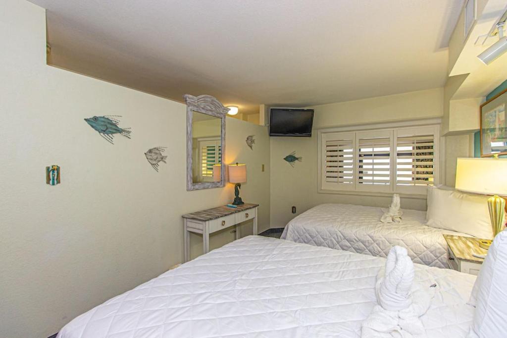 Apartment New!! Cove Oceanfront 1bed/1ba Nmb Free Wifi & Parking *