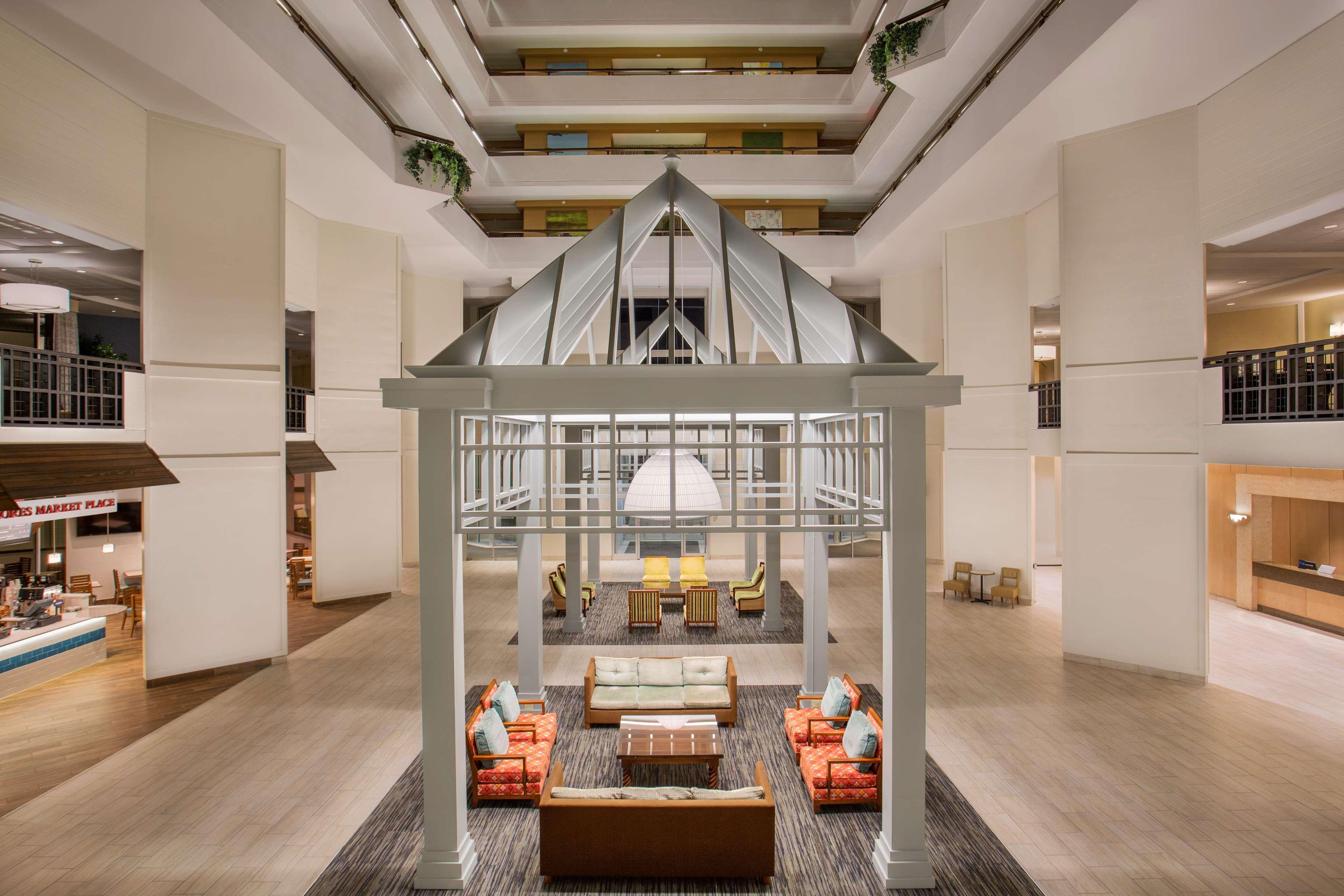 Hilton Myrtle